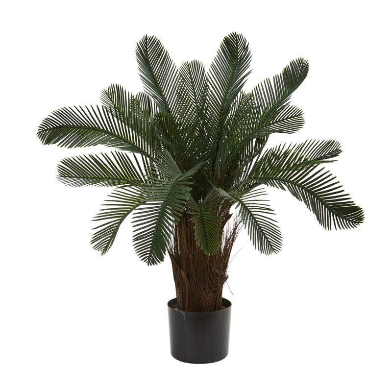 2ft. Cycas Artificial Tree, UV Resistant (Indoor/Outdoor)