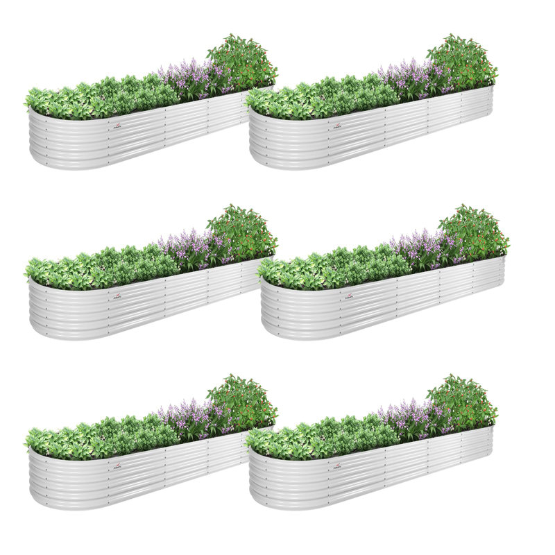 6-pack White Metal Oval Large Raised Garden Bed Planter Boxes For Vegetables Flowers Herbs (144 In. L X 36 In. W X 18 In. H)