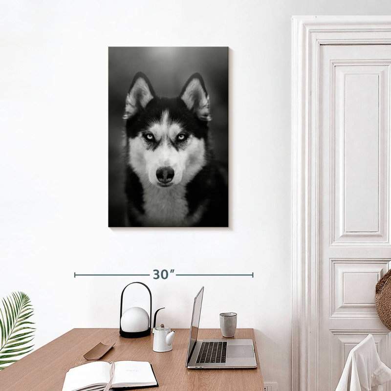 Brampt Serious Siberian Husky, 30" H x 20" W