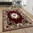 Oriental Indoor Rug-17431252