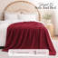 Couverture polaire en fausse fourrure de vison de luxe - peluche douce et réversible pour lit et canapé-125539725-125539729
