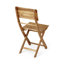Space-Saving Outdoor Folding Dining Chairs Set of 2-813783925