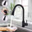 MAXWELL Hesser Pull Down Kitchen Faucet-49431354