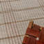 Zona Striped Area Rug in Brown/Beige/Red-703976707