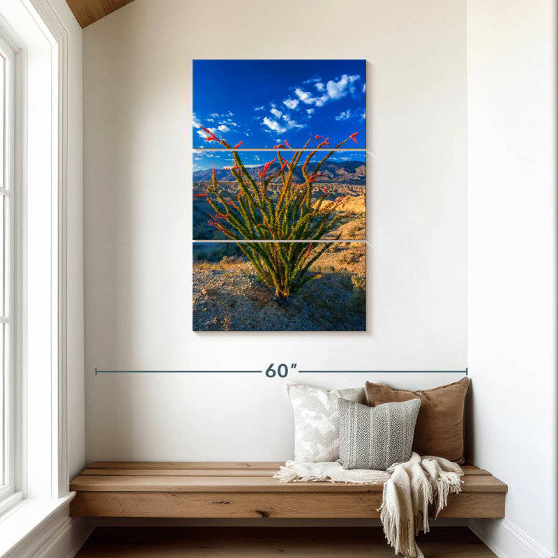 Harnek Ocotillo à Anza Borrego