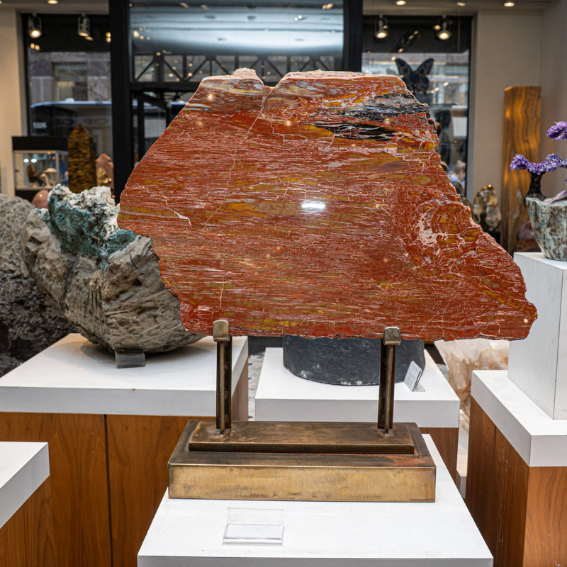 Genuine Polished Petrified Wood Slice With Metal Display Stand