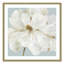«Garden Queen I», reproduction de cadre photo sur papier-56094081-56094084