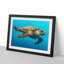 Swimming Sea Turtle in Abstract - Picture Frame Graphic Art Print-55728530-55728534