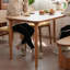 Simple and classic selection of dining table-108071175-108071178