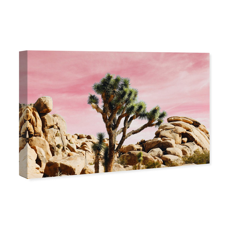 « joshua tree rose », impression, H 15 po x l 10 po x P 1,5 po, Toile tendue