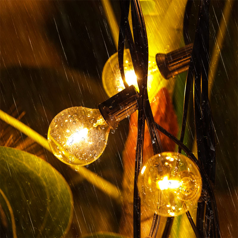 Amairani 762cm 20 - Bulb Festoon Lights String Light (End to End Connectable)