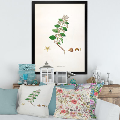 Vintage Botanicals I - peinture sur toile