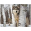 Reproduction d'art loup gris-1058081907-1058081905