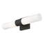 Cailum 2 Light Frosted Dimmable Vanity Light-2136842730