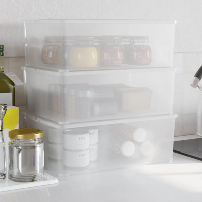 Latitude Run Plastic Storage Tub & Tote
