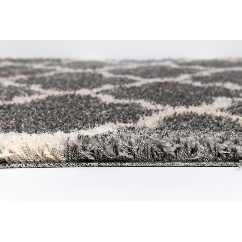 Tapis décoratif brun à poils longs Popham, Rectangle 3 pi 3 po x 4 pi 7 po