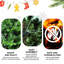 4FT Green PVC+PE Christmas Tree-557617789-557617784