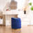 Juriana Metal Accent Stool Swivel Vanity Ottoman-1999519413