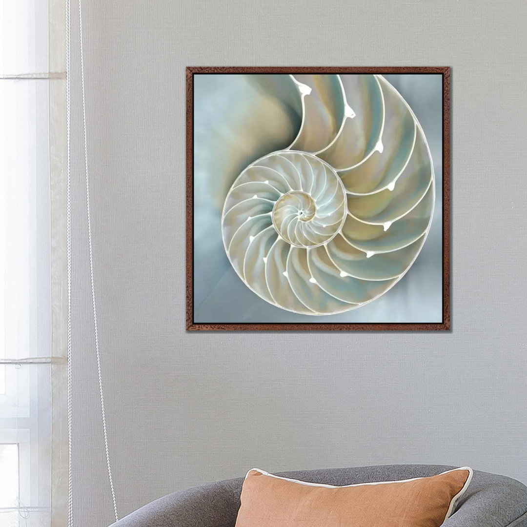 Leinwandbild Nautilus In Blue II von Caroline Kelly