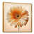 Gold Floater Framed Canvas