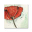 « not a california dépilar i », art textuel sur toile tendue-31869175
