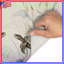 Tapis de bain Tortues dans l'herbe-1379322030