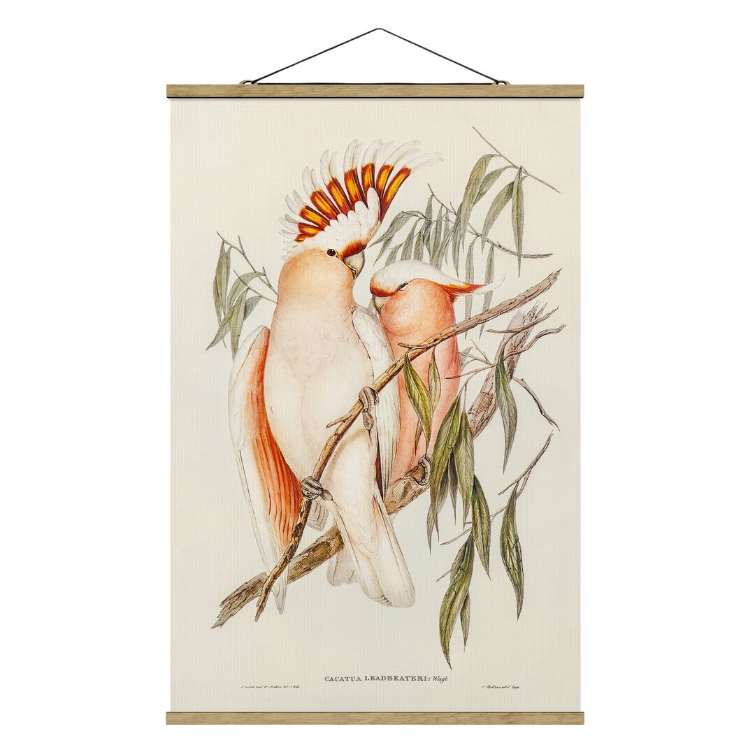 Stoffbild Vintage Illustration Pink Cockatoo