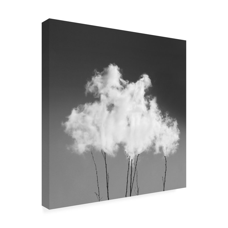 Graphic Art Print, 14" H x 14" W x 2" D
