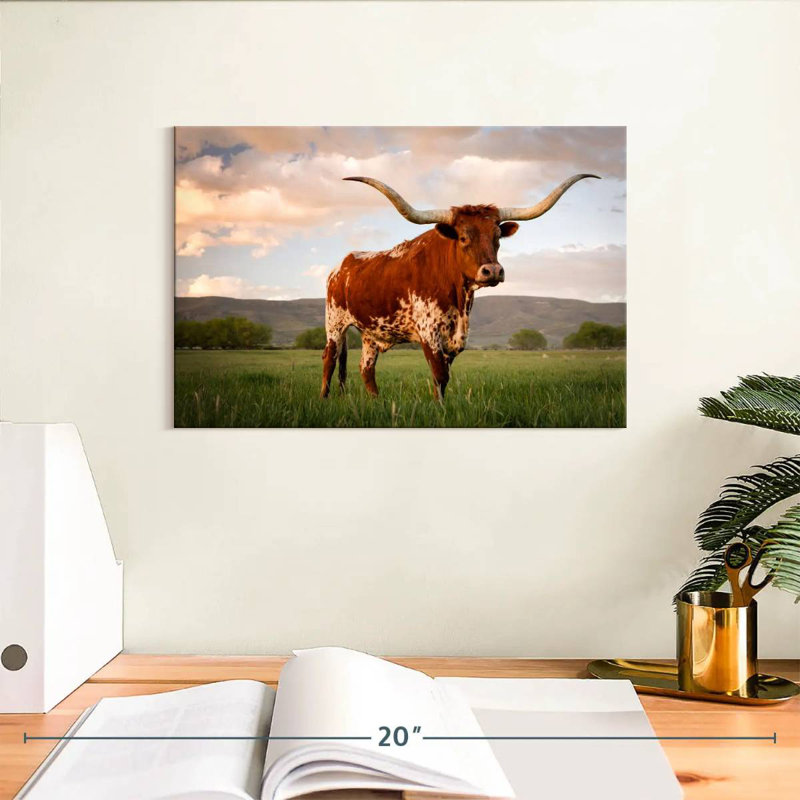 Longhorn brun du Texas, H 8 po x l 12 po