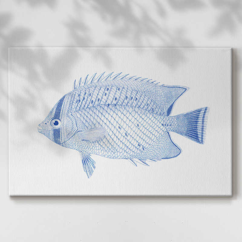 Poisson tropical bleu et blanc III - Cavas enveloppés de galerie, 24 x 36
