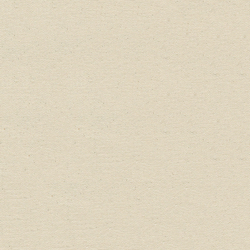 Tissu non traité