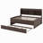 Jaqueze Bookcase Bed