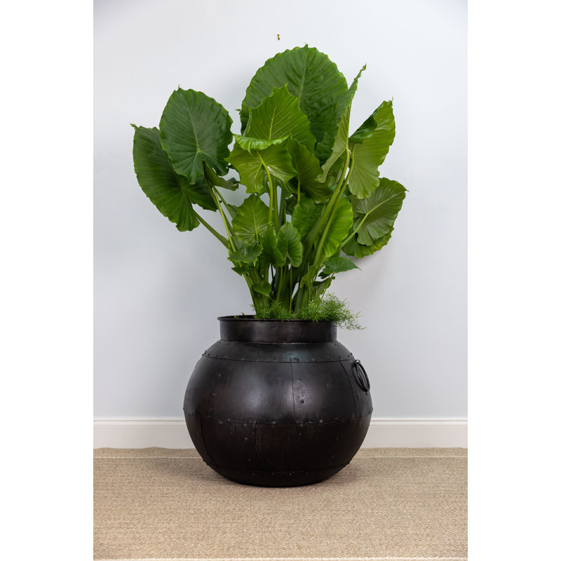 Jasenko Handmade Metal Pot Planter