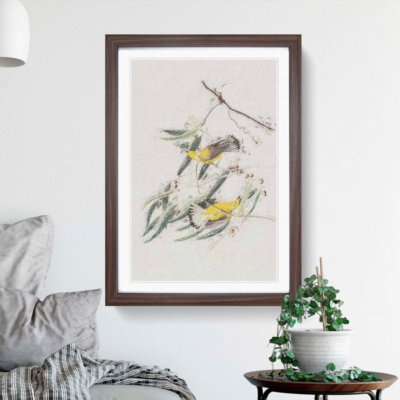 Prothonotary Warbler Birds by John Audubon - Picture Frame Painting Print, 36cm H x 27cm W x 2cm D, Walnut Framed