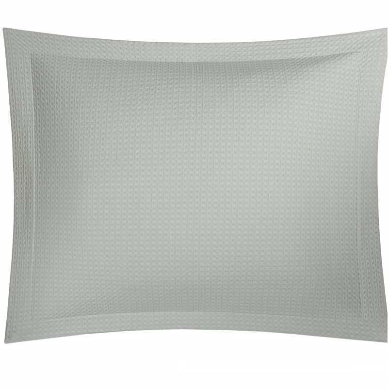 Dotty Sham, Standard, Dove