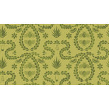 Agave
