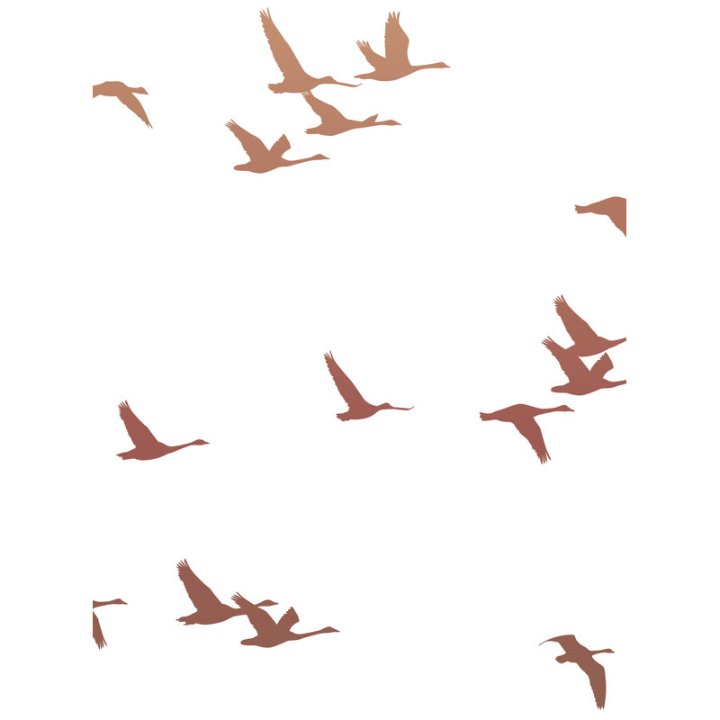 Papier peint adhésif Soaring Birds, L 108 po x l 96 po, Coucher de soleil