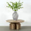 Lucca Coffee Table