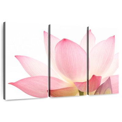 Harnek Pink Lotus Flower