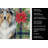 Blue Merle Sheltie Christmas PoinsettIas Kitchen Towel-2080583857