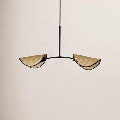 Arkon 2 Light Wicker Steel Dimmable Pendant