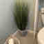 Photos des clients 1 de 1