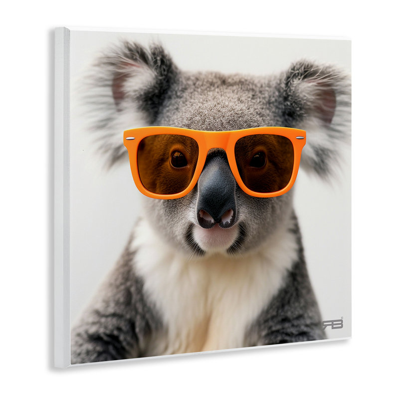 «Cool Koala» par Roozbeh Bahramali