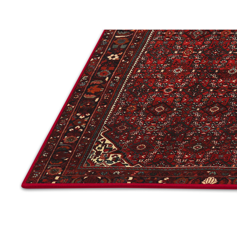 Tapis rouge à motif sud-ouest, Rectangle 8 pi x 10 pi