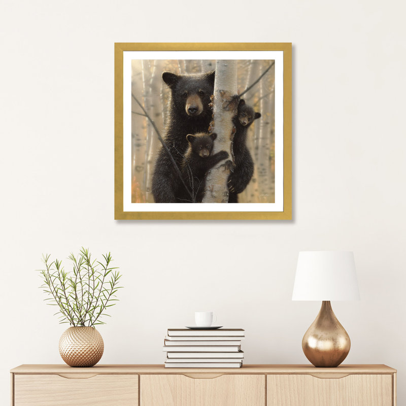 «Mama Black Bear» par Collin Bogle Print, Papier encadré doré, H 24 po x l 24 po x P 1 po