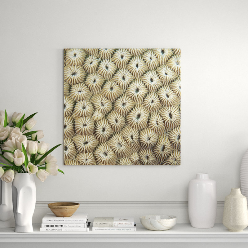 Underwater Beauty IV Print by Austin Beiv, 1" Return