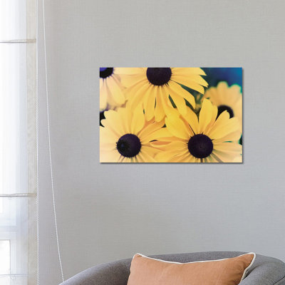 Susans II by Jason Johnson - Wrapped Canvas Print