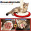 Grattoir pour chat en forme de manège, grattoir rotatif à 360 ° pour chats d'intérieur