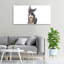 Dog And Cat - Wrapped Canvas Print