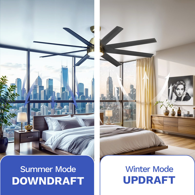 Lamariana 65'' Ceiling Fan with LED Lights